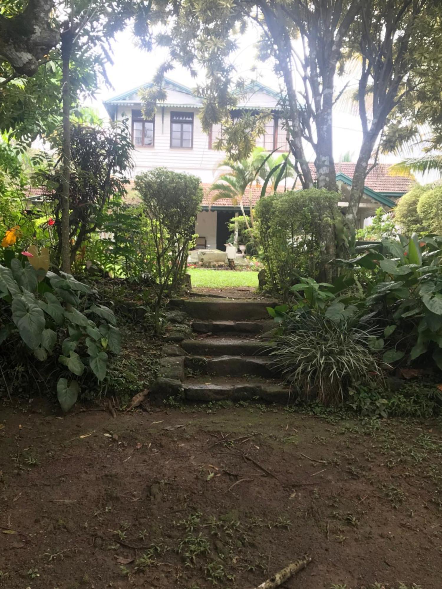 Wattarantenna Bungalow Kandy Exteriör bild